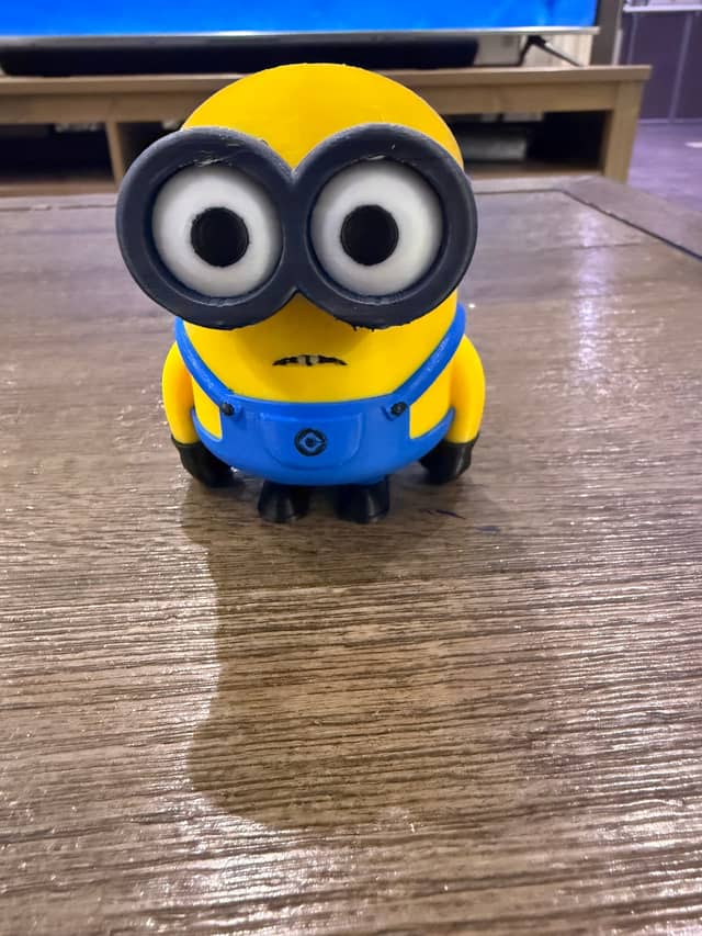 Photo of an actual print of Multicolor Minion